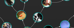 Songtree, una app para crear música desde la colaboración virtual