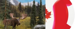 El vinilo canadiense de Serato