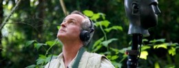 Introducción a la grabación binaural