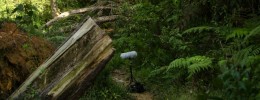 Recomendaciones de equipo para comenzar en la grabación de campo