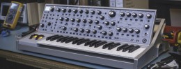 Moog Subsequent 37 CV, un Sub 37 con salidas CV y mayor distorsión