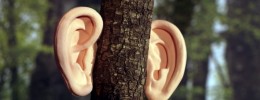 Sónar+D expondrá de nuevo su visión futurista de la música
