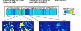 Logran convertir la actividad cerebral en música
