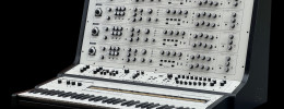 Analogue Solutions Maximus 4V, un analógico de 4 voces como el Maximus, pero en "minimus"