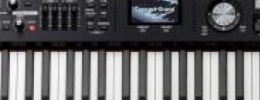 Cuatro nuevos pianos y un nuevo órgano de Roland