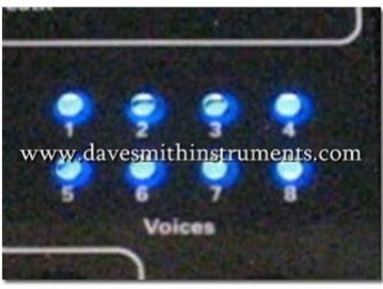 Dave Smith prepara un Prophet de 8 voces