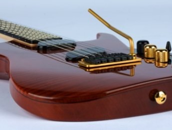 Aquí está la Moog Guitar