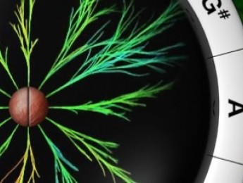 Planta un sonido y escúchalo crecer