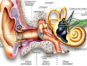 Mucho cuidado con los acúfenos