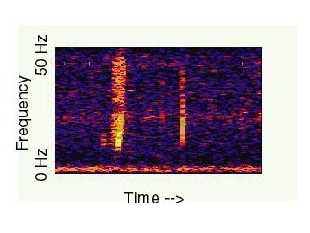 BLOOP, misteriosos sonidos submarinos