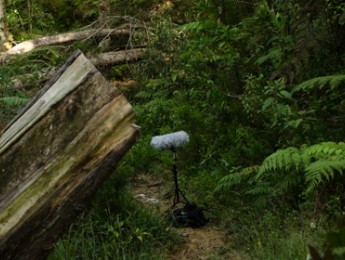 Guía de grabación de campo - #00 Introducción