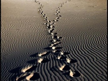 El intercambio modal: Acordes prestados y caminos paralelos