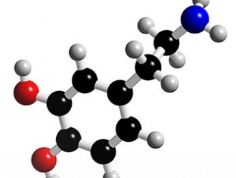 Un chute de dopamina. La apoyatura
