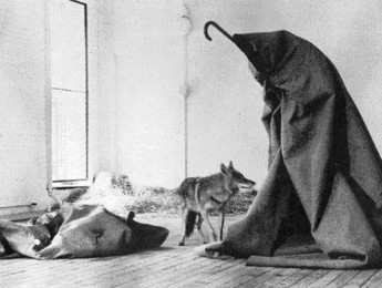 Unificando los roles