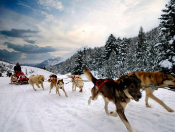 Reflexiones Musicales:  El trineo Del Rock