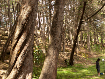 Érase una vez un blog llamado Fotograma Sonoro