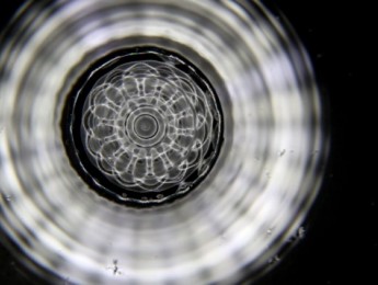 Sonic Water: Agua, sonido y cimática