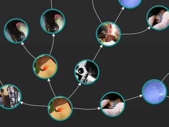 Songtree, una app para crear música desde la colaboración virtual