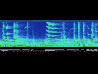 Michel André y el sentido del silencio en los océanos