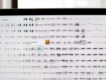 Explora miles de sonidos de aves organizados mediante inteligencia artificial