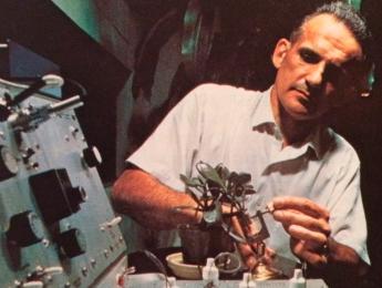 Música, plantas, MIDI y el poligrafista de la CIA