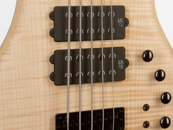 Un bajo Warwick de 5 cuerdas para Kontakt, gratis hasta julio