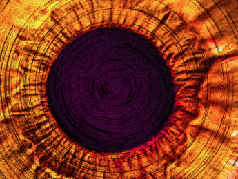 Review de Spitfire Audio Albion One 10º Aniversario