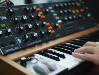 Behringer Poly D, un Minimoog - Model D en versión teclado y con parafonía a 4 voces