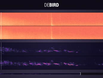 Boom Library DeBird, un software para eliminar sonidos de pájaros de grabaciones