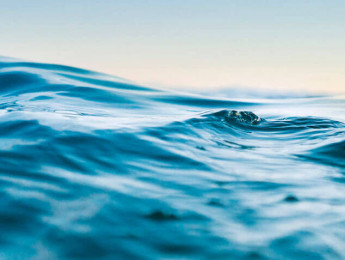 Microfusa Summer Festival 2022 en Madrid y Barcelona