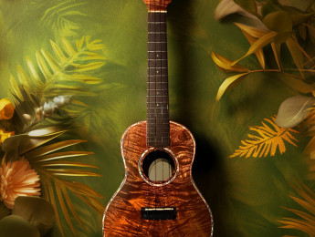 Native Instruments Session Ukulele, dos ukeleles y un charango para Kontakt