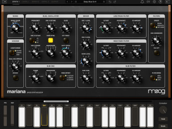 Moog Mariana reinventa los bajos Moog