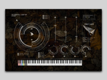 The Crow Hill Company Forest Harps: sonoridades peculiares con arpas de cuerno y salterios
