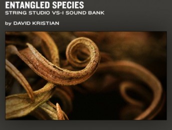 AAS lanza Entangled Species para String Studio VS-1