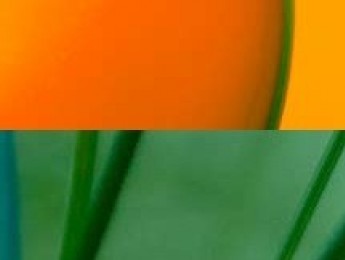 Microhammer lanza Luminabells y The Ranch