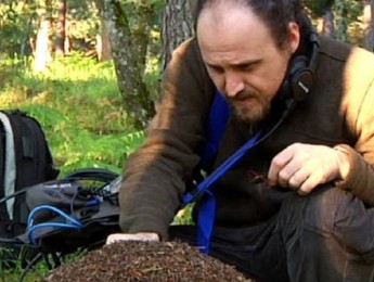 Coleccionistas de sonidos