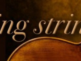 Segunda versión de LASS en camino