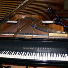 Piano Bluthner