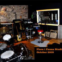 SALA DE GRABACIÓN 1774 FLORA Y FAUNA STUDIO