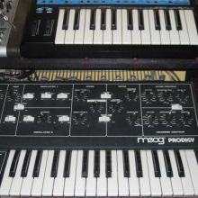 Moog Prodigy &amp; Novation bass station