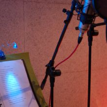 Set de voces