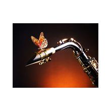 sax 2 