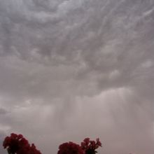 Nube rara
