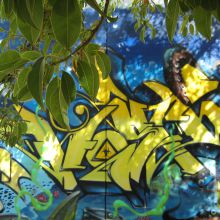 grafitti y naturaleza VIII