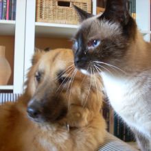 Milly y Vanilli...