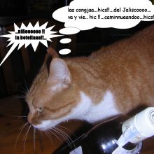 Ballantine's affair...