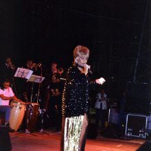Orquesta acompañante (2)