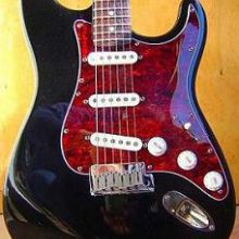 Golpeador tortoise Strato