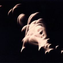 lune