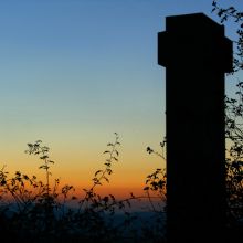 Ramaje atardecido (I.A.)